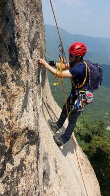 5월 9일 속리산 산수유, 우연의 일치 정비