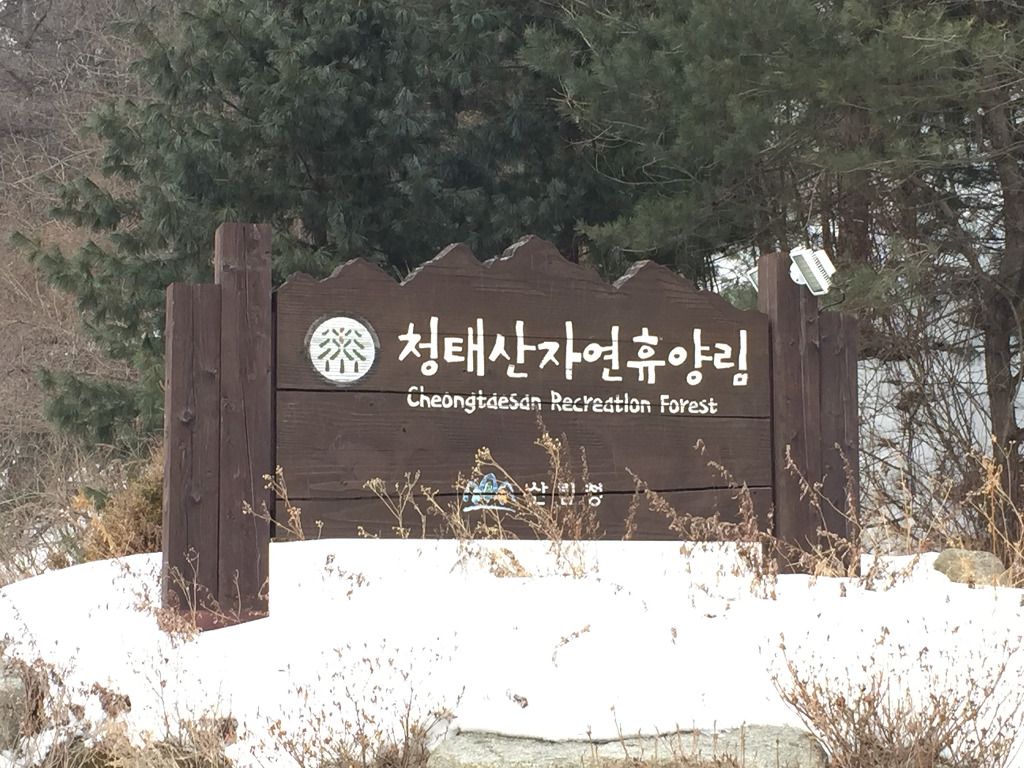 청태산자연휴양림 사진.jpg